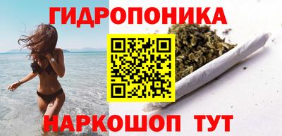 соль ск Дубна