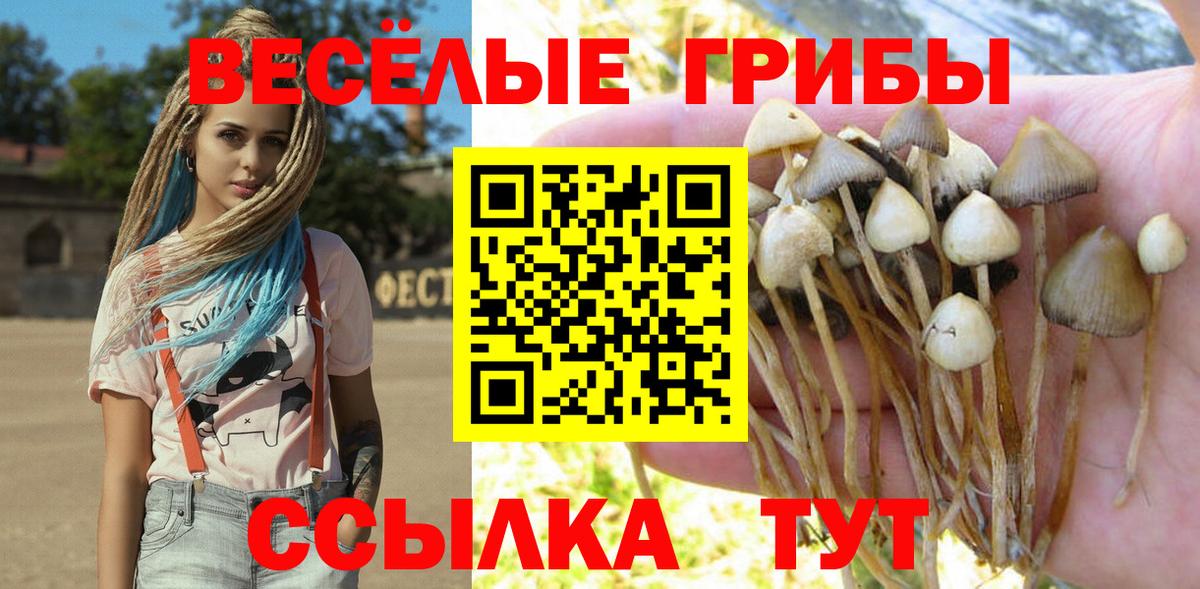 Псилоцибиновые грибы Cubensis  Вход с VPN  Люберцы  Галлюциногенные грибы Psilocybe 